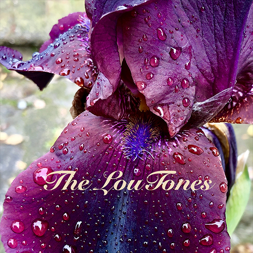 The LouTones EP Album
